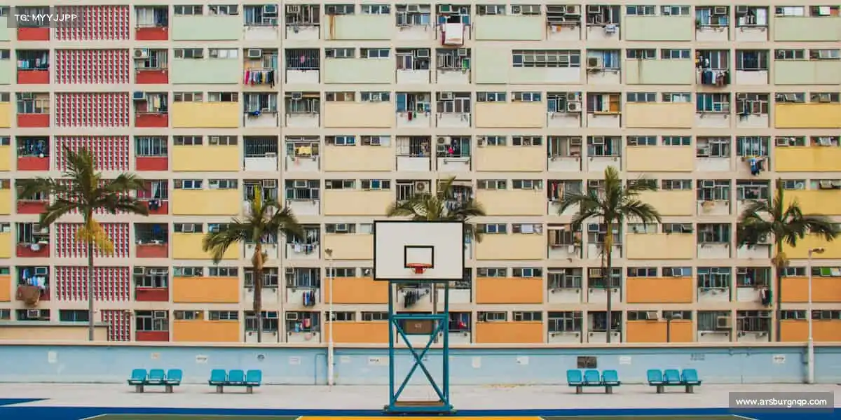 安博电竞——以运动为帆,驶向健康活力新起点!🏀